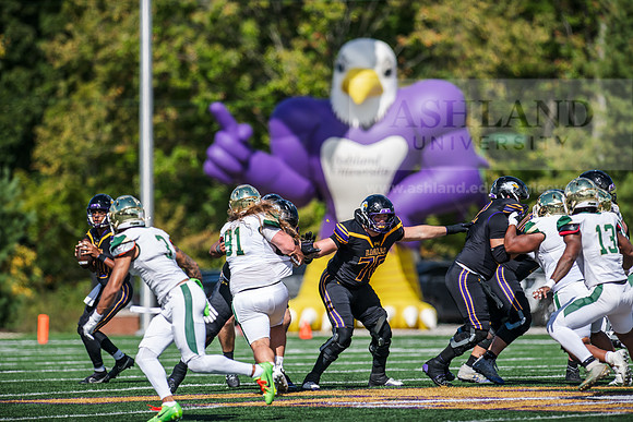 HomecomingAUvTiffinFtball1026AWB_3925