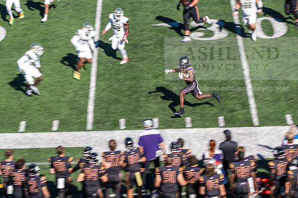 HomecomingAUvTiffinFtball1026AWB_3139