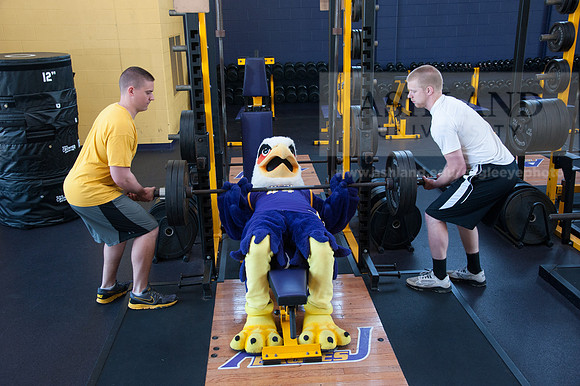 Tuffy Preparing for Marathon