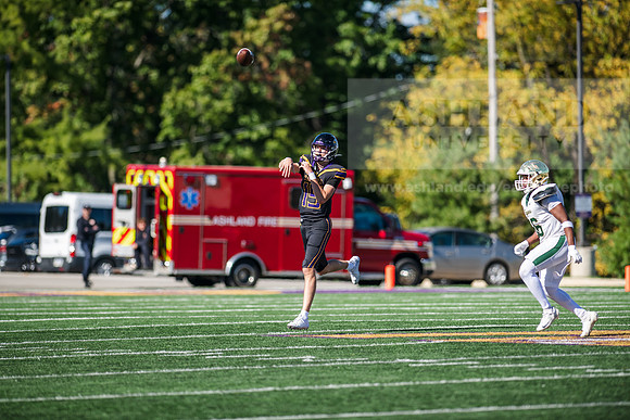 HomecomingAUvTiffinFtball1026AWB_4017