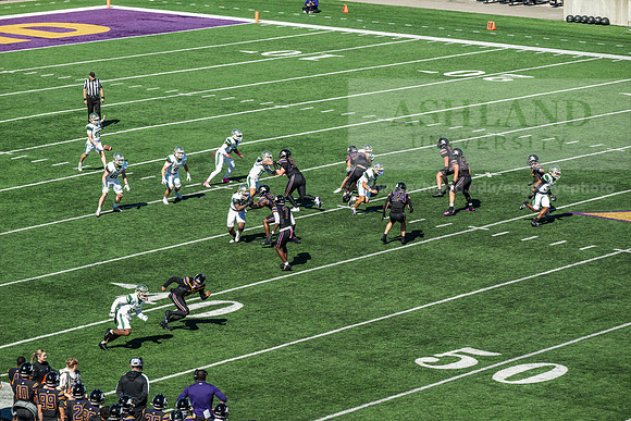HomecomingAUvTiffinFtball1026AWB_3101