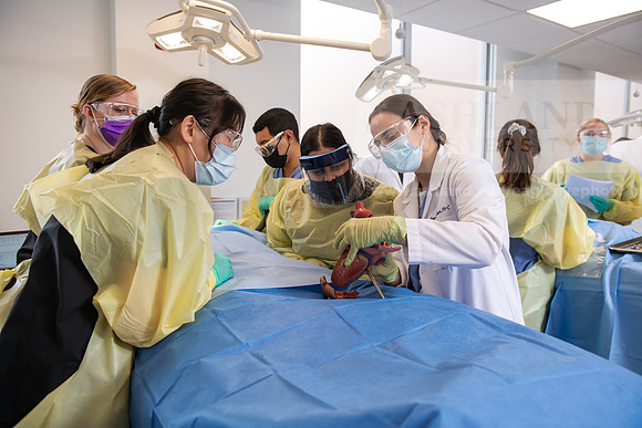 PAProgramCadaverLab1221ALW_4134