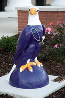 Schar College of Nursing