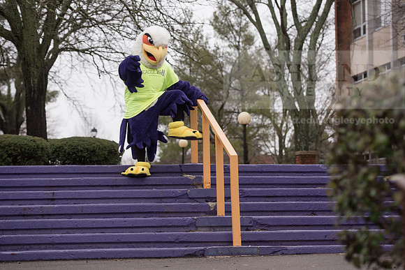 Tuffy - Campus Wellness Program