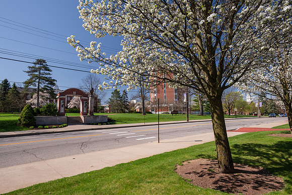 SpringCampus0421ALW_5713