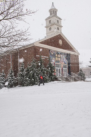 WinterSnowfall0225AWB_4243