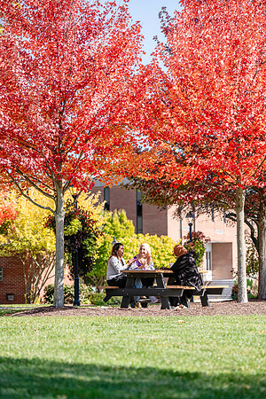 FallCampusLife1024AWB_5934