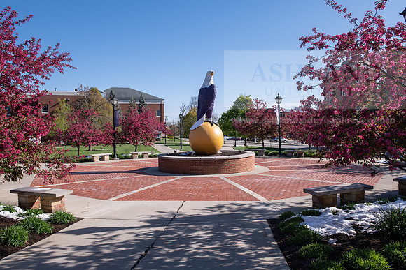 EagleOldAbeSpring0421ALW_7543