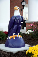 Schar College of Nursing