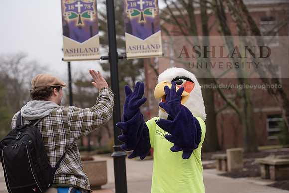 Tuffy - Campus Wellness Program