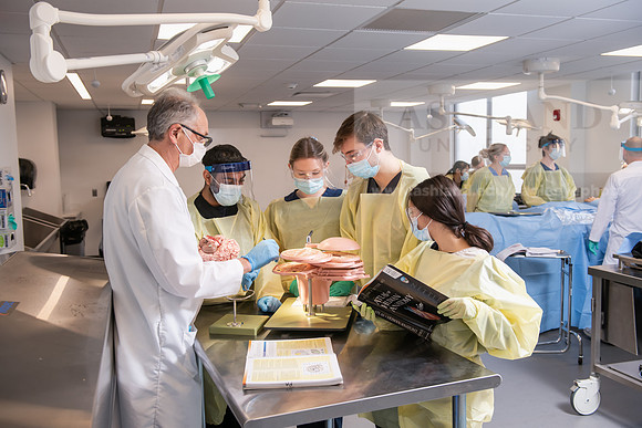 PAProgramCadaverLab1221ALW_4294