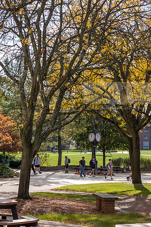 FallCampusLife1024AWB_5557