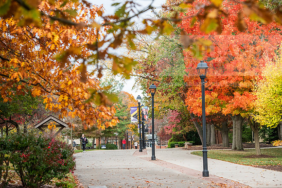 FallCampusLife1024AWB_8887