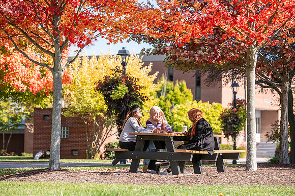 FallCampusLife1024AWB_5892
