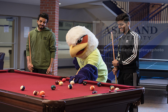 Tuffy - Campus Wellness Program