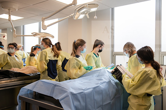 PAProgramCadaverLab1221ALW_3932