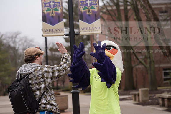 Tuffy - Campus Wellness Program