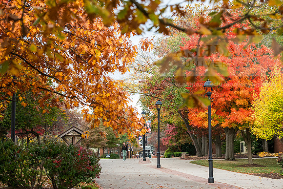 FallCampusLife1024AWB_8872