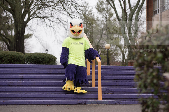 Tuffy - Campus Wellness Program