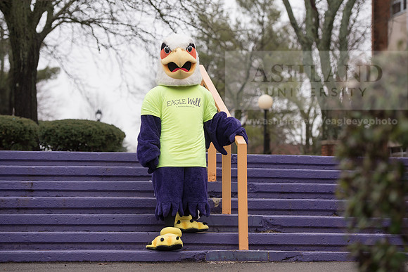 Tuffy - Campus Wellness Program