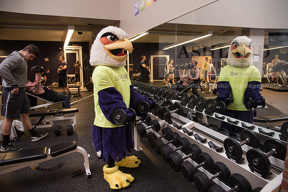 Tuffy - Campus Wellness Program