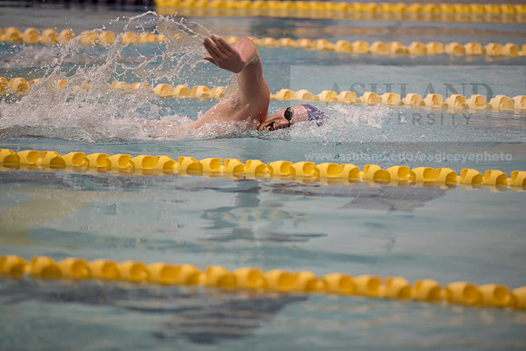 AU Swim Meet/Malone and Urbana