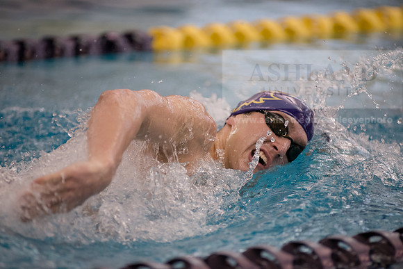 AU Swim Meet/Malone and Urbana