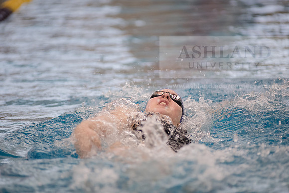 AU Swim Meet/Malone and Urbana