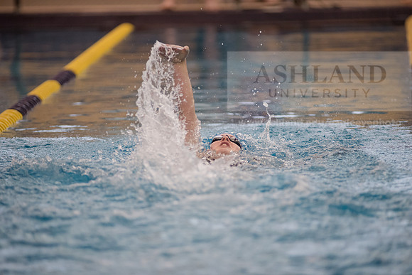 AU Swim Meet/Malone and Urbana