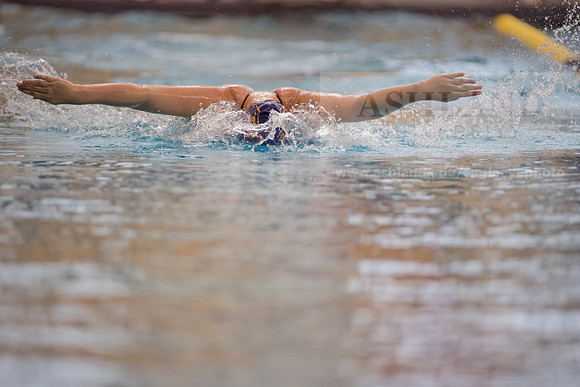 AU Swim Meet/Malone and Urbana