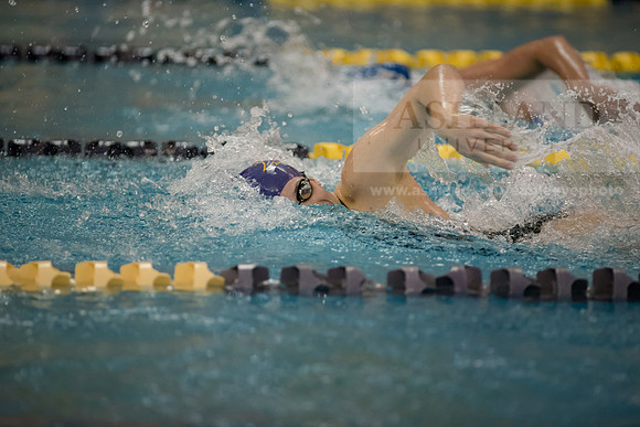 AU Swim Meet/Malone and Urbana