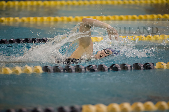 AU Swim Meet/Malone and Urbana