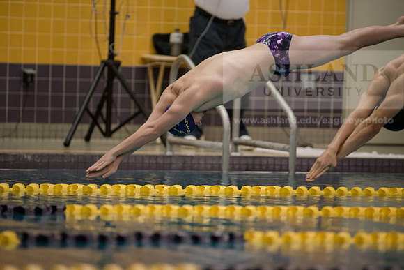 AU Swim Meet/Malone and Urbana