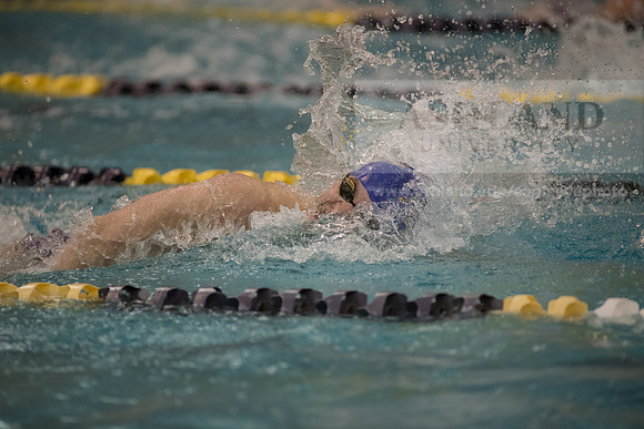 AU Swim Meet/Malone and Urbana