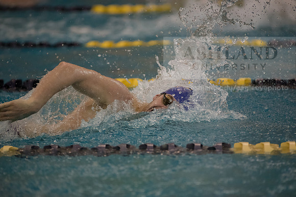 AU Swim Meet/Malone and Urbana
