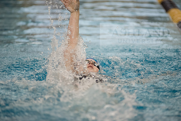 AU Swim Meet/Malone and Urbana