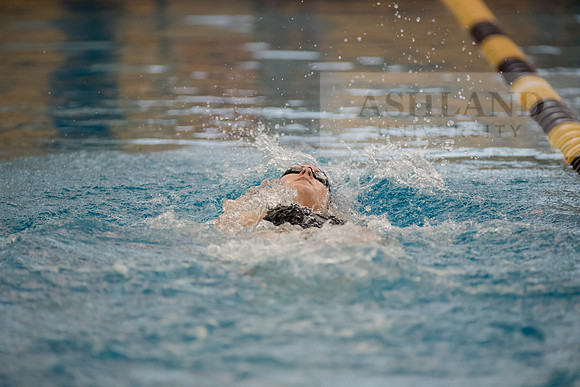 AU Swim Meet/Malone and Urbana