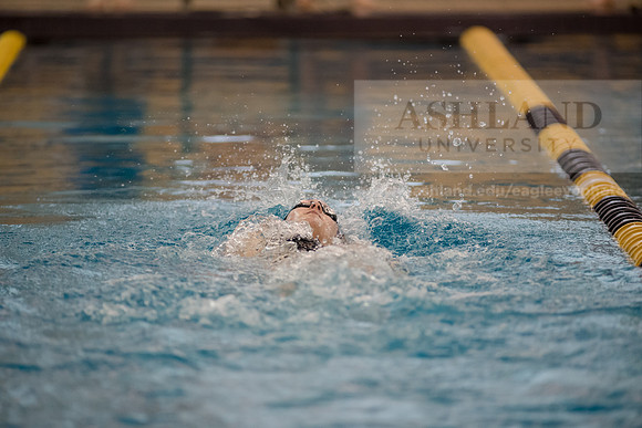 AU Swim Meet/Malone and Urbana