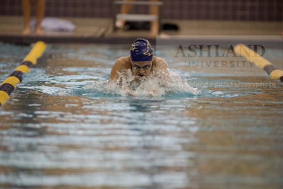 AU Swim Meet/Malone and Urbana
