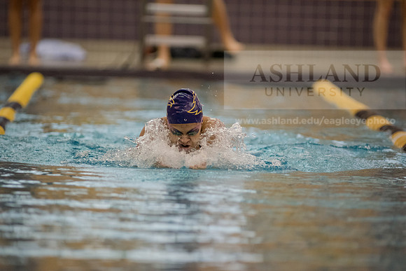 AU Swim Meet/Malone and Urbana