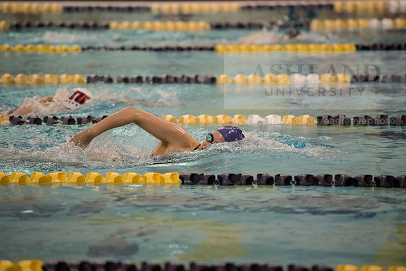 AU Swim Meet/Malone and Urbana