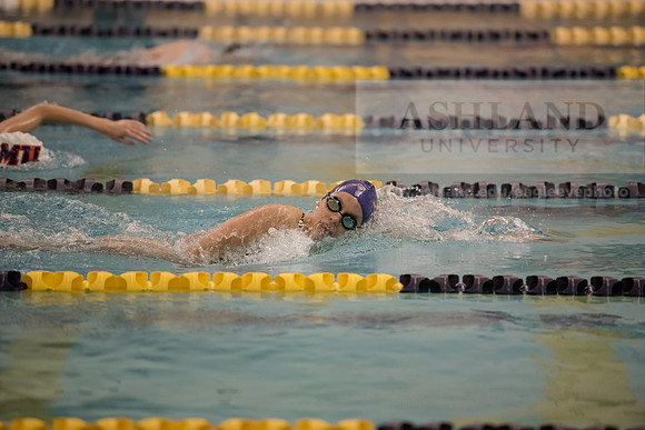 AU Swim Meet/Malone and Urbana