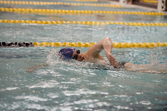 AU Swim Meet/Malone and Urbana
