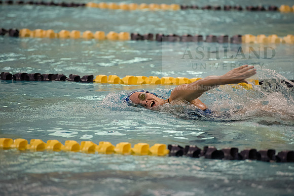 AU Swim Meet/Malone and Urbana