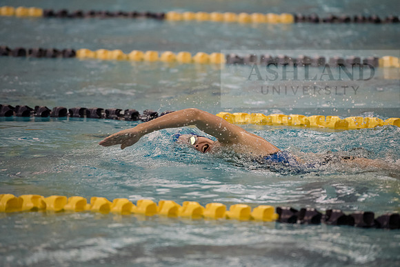AU Swim Meet/Malone and Urbana