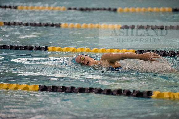 AU Swim Meet/Malone and Urbana