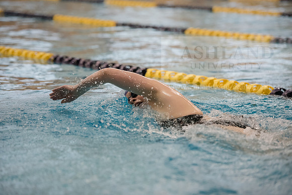AU Swim Meet/Malone and Urbana
