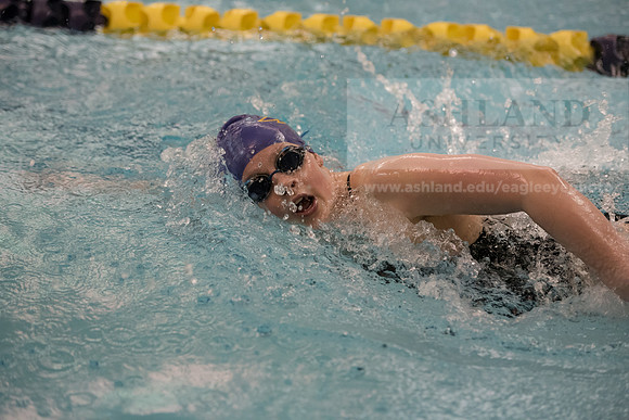 AU Swim Meet/Malone and Urbana