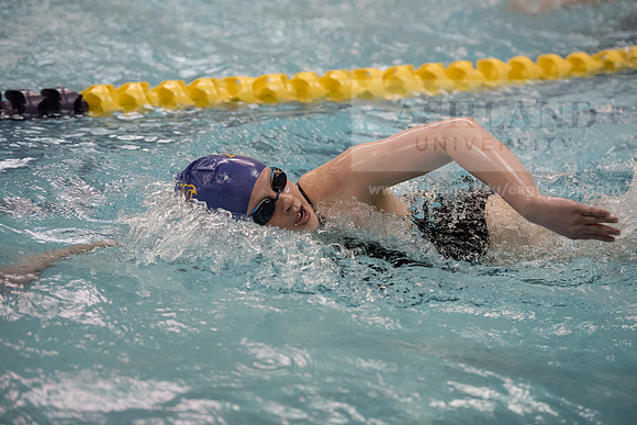 AU Swim Meet/Malone and Urbana