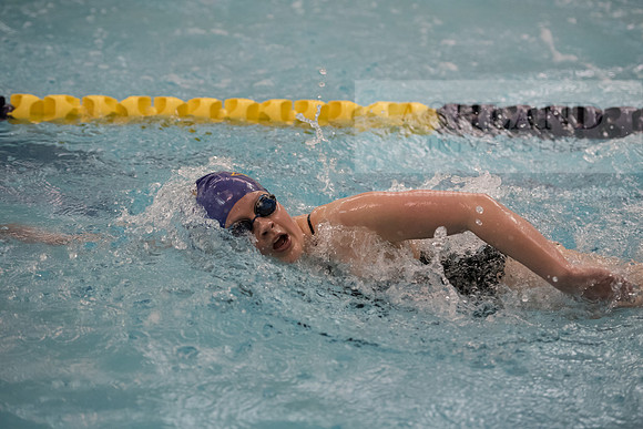 AU Swim Meet/Malone and Urbana